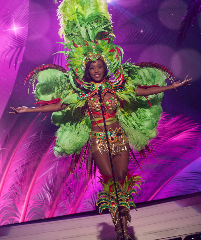 Illustration for article titled 2015 Miss Universe National Costumes: An Asshole's Review (Part 1)